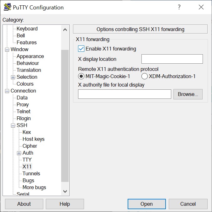 putty_enable_x11.jpg